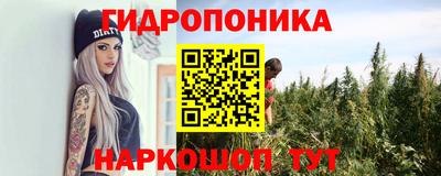 стафф Пенза