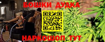 стафф Пенза